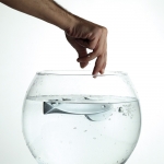 Элиос Кристалл дверные ручки на пластине Linea Cali Кристалл