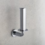 Вертикальный держатель рулона туалетной бумаги Colombo Design Basic B2790