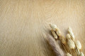 Самоклеящееся покрытие стен мебели CREAM GOLDEN OAK AG14