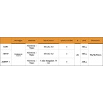Key Selector - Встраиваемый в стену - для ворот