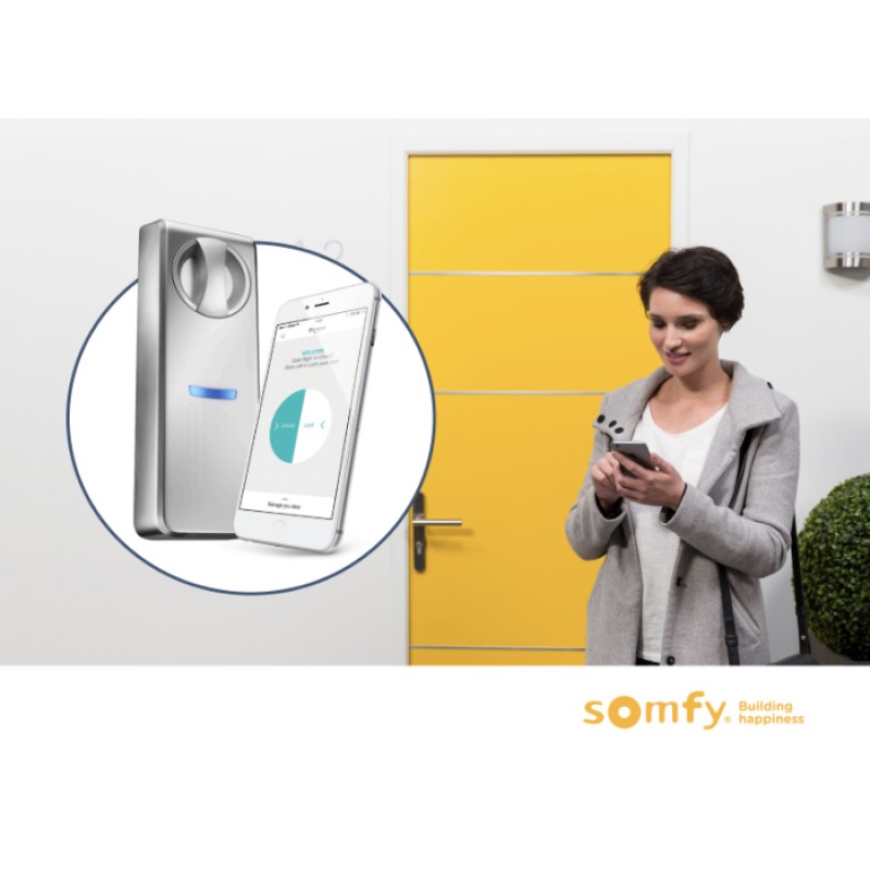 Умный дверной замок Somfy Wi-Fi Domotica Smart