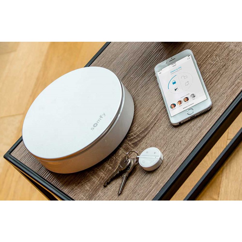 Somfy Protect Home Alarm Starter Pack Защита от кражи для небольших помещений
