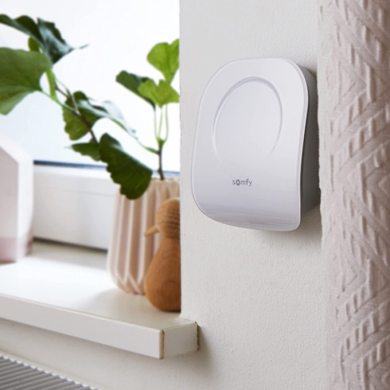 Беспроводное программируемое радио подключением Somfy Wifi